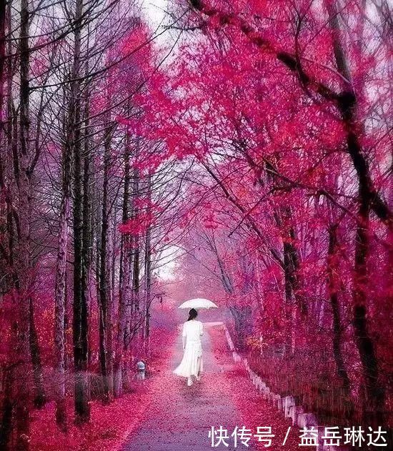 太美了,世界照片今天终于传来,罕见至极,一睹为快