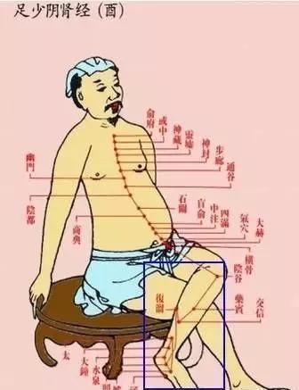 每个人的小腿内侧,都隐藏着一个“秘密”