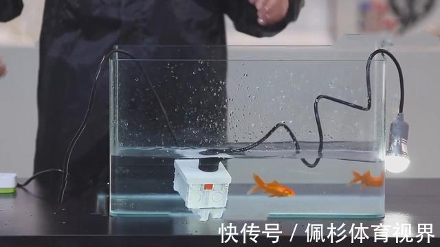 热水器|四川小伙发明“不怕水”插座，90多国上缴专利费