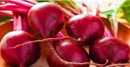 白刺果|会吃的人最健康,多吃的食物,排出毒素,美容养颜,改善肤质