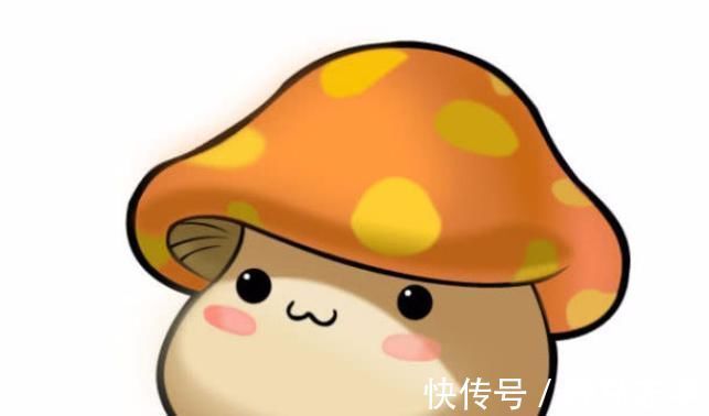 高血压|高血压不一定非要吃药,多吃3种食物,帮你轻松稳定血压