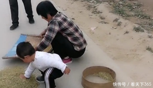 娃干|“勤劳奶奶”带娃干农活火了,萌娃“尽情摇摆”的模样超起劲