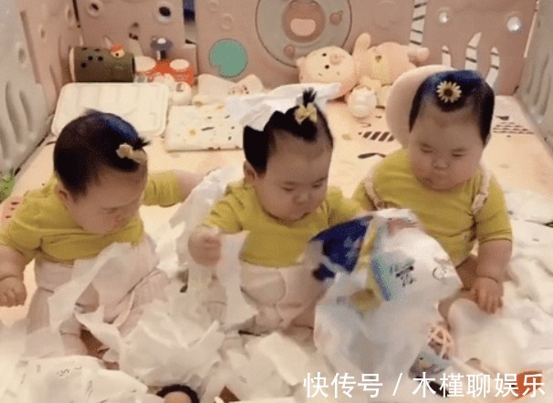 小眼神|“拆家女团”三胞胎宝宝走红,中间那个一脸无辜,却数她撕得最欢