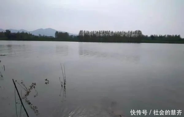 钓位|本味三兄弟,助我擒板鲫!