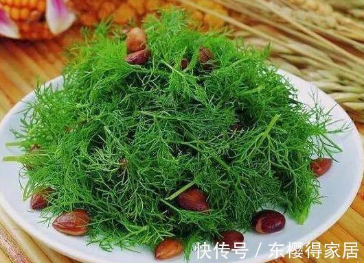 瓜果|湿气“最怕”这道菜，隔三差五吃一次，解馋又开胃，好吃不腻！