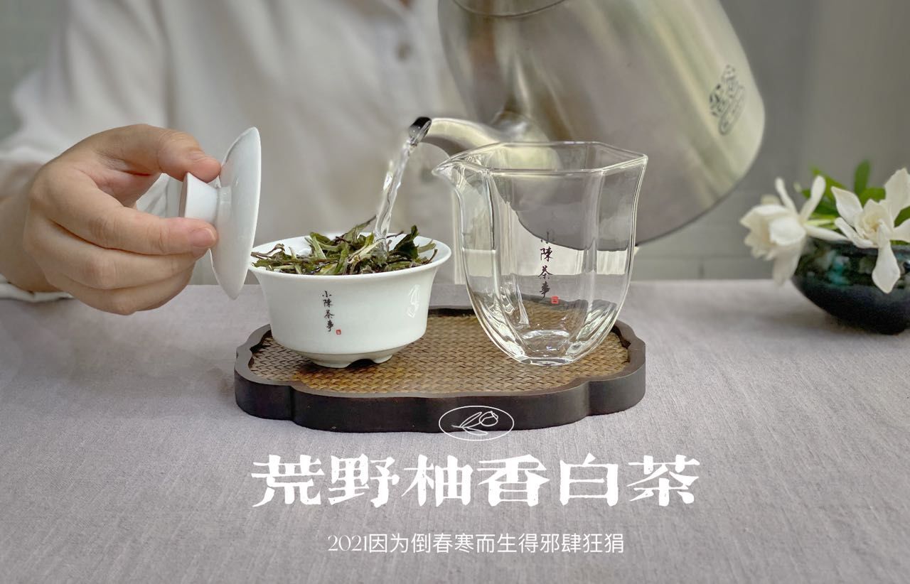 白茶泡着喝和煮着喝，究竟哪一个更香？听村姑陈说完，有收获