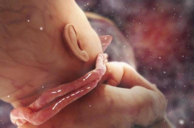 打嗝|怀孕10月280天,胎宝宝都是怎样打发时间的他们在子宫里嗨着呢