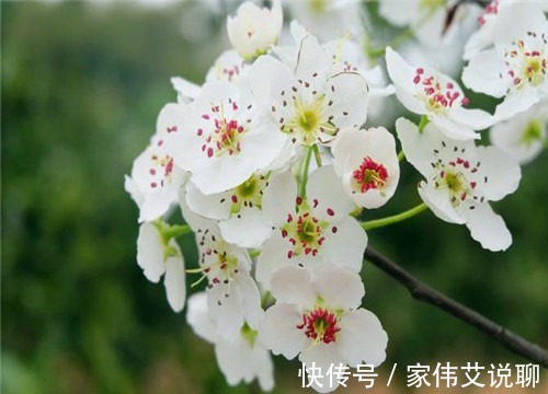 榜眼|古人中了探花,为何比中状元还高兴?其实当时有一个不成文的规定