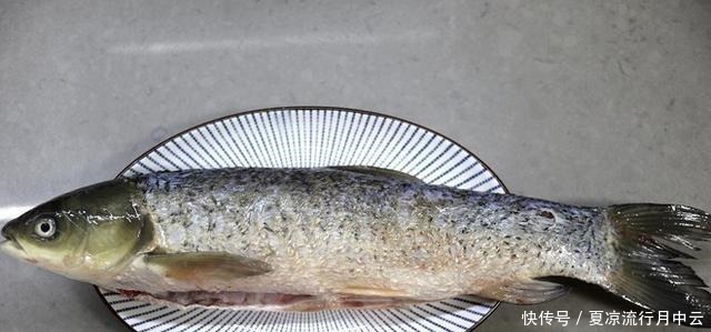 炖鱼不要只加开水，怪不得鱼又腥又嫩，只要一点点，鱼就又嫩又香