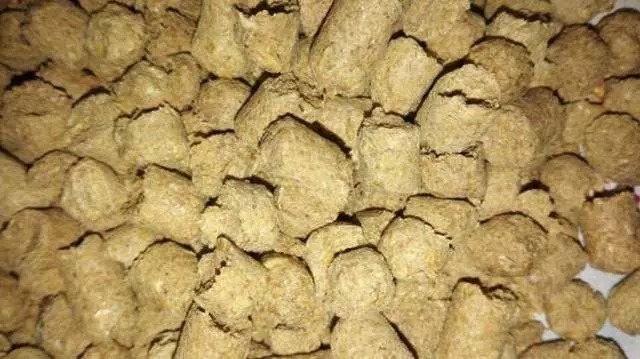 钓鱼用“油”事半功倍，其中有两种油，在钓饵中广泛使用