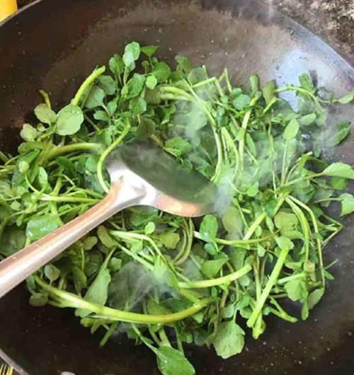 豆瓣菜|此菜,钙比牛奶高,铁比菠菜高,润肺护眼,孩子吃增强抵抗力