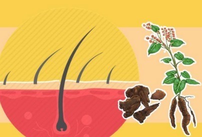 dn3种中药伤肝又伤肾！你却还当良药来服用！专家：无知害死人！