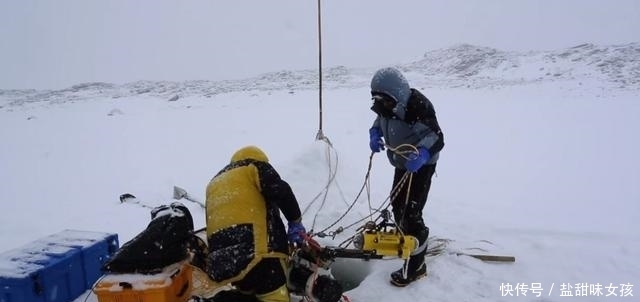 海豹 科学家在南极冰层打个洞,它出来探头打招呼,下面更是美赞了!