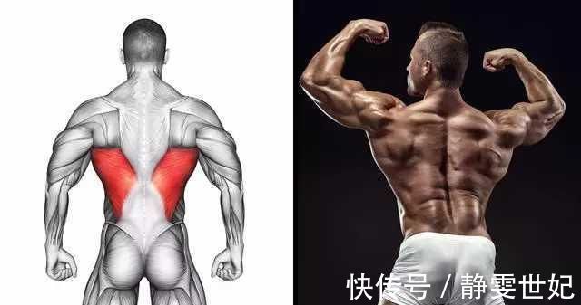 肩胛骨|分区域练背,把落后的部位练成优势,打造更强更壮的背部