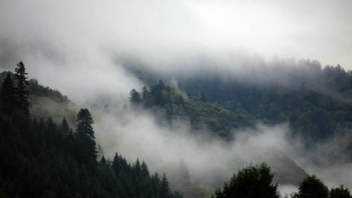 宋朝灭门案强横的邻居，老实的农民，欺负老实人引发的七尸血案