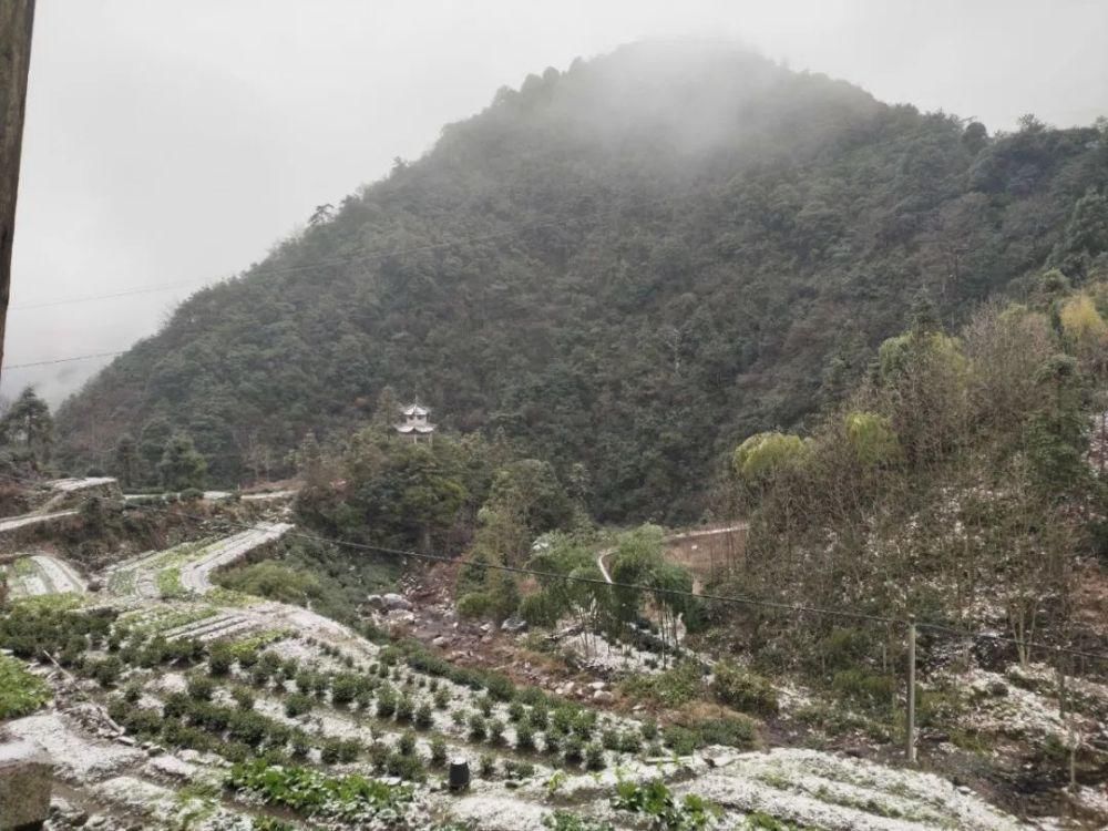 雪景|丽水这些地方下雪了，美炸了~最新雪景美图，请签收