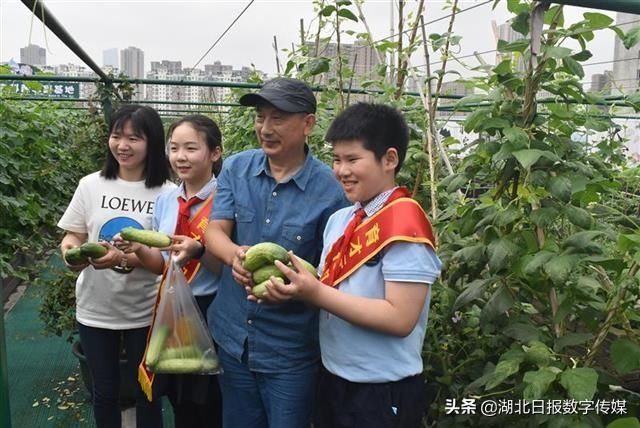 儿童节|知农事 体农情 惜农食“行知小农夫”喜迎丰收的儿童节