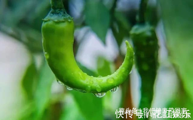 乳腺|有乳腺增生,不能喝豆浆?医生提示:6种食物才是最不能碰的