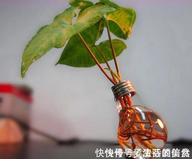 懂得!南山老人提醒我:做人再有本事,也要对这四件事守口如瓶,有道理