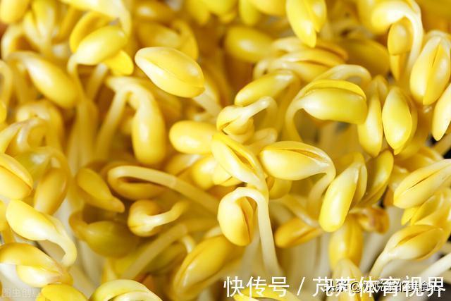 芽苗菜|春吃芽，选绿豆芽还是黄豆芽？牢记“2不买”，实惠营养又好吃