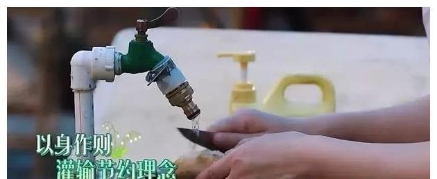 史上唯一 把何炅“逼瘋”了的女嘉賓, 一塊姜從天亮洗到了天黑