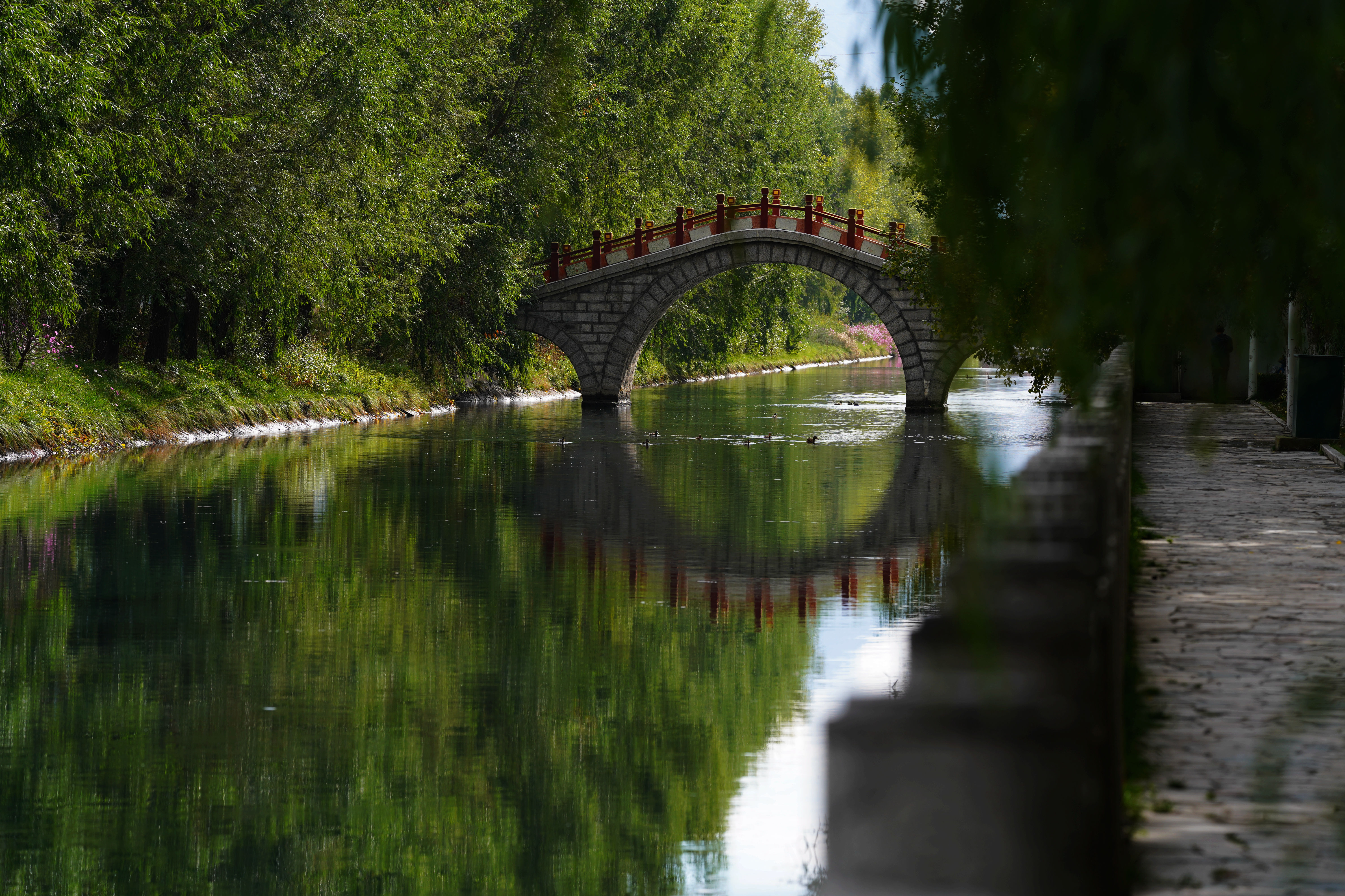 大昭寺|【80天单人单车环藏之旅】观览佛教圣地大昭寺，八廓街猎摄盛装美女