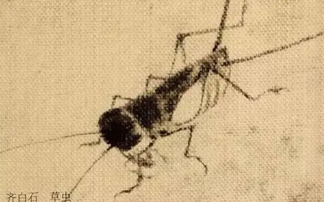 蝈蝈$国画技法图典——草虫篇:蝗虫 蚂蚱 蝈蝈 螽斯 螳螂 蟋蟀