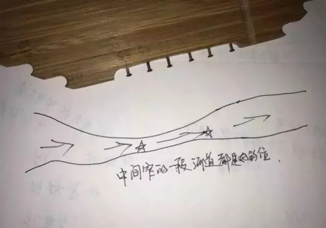 不知道鱼儿藏在哪儿？我帮你画了5张图，随便挑一个就能爆护