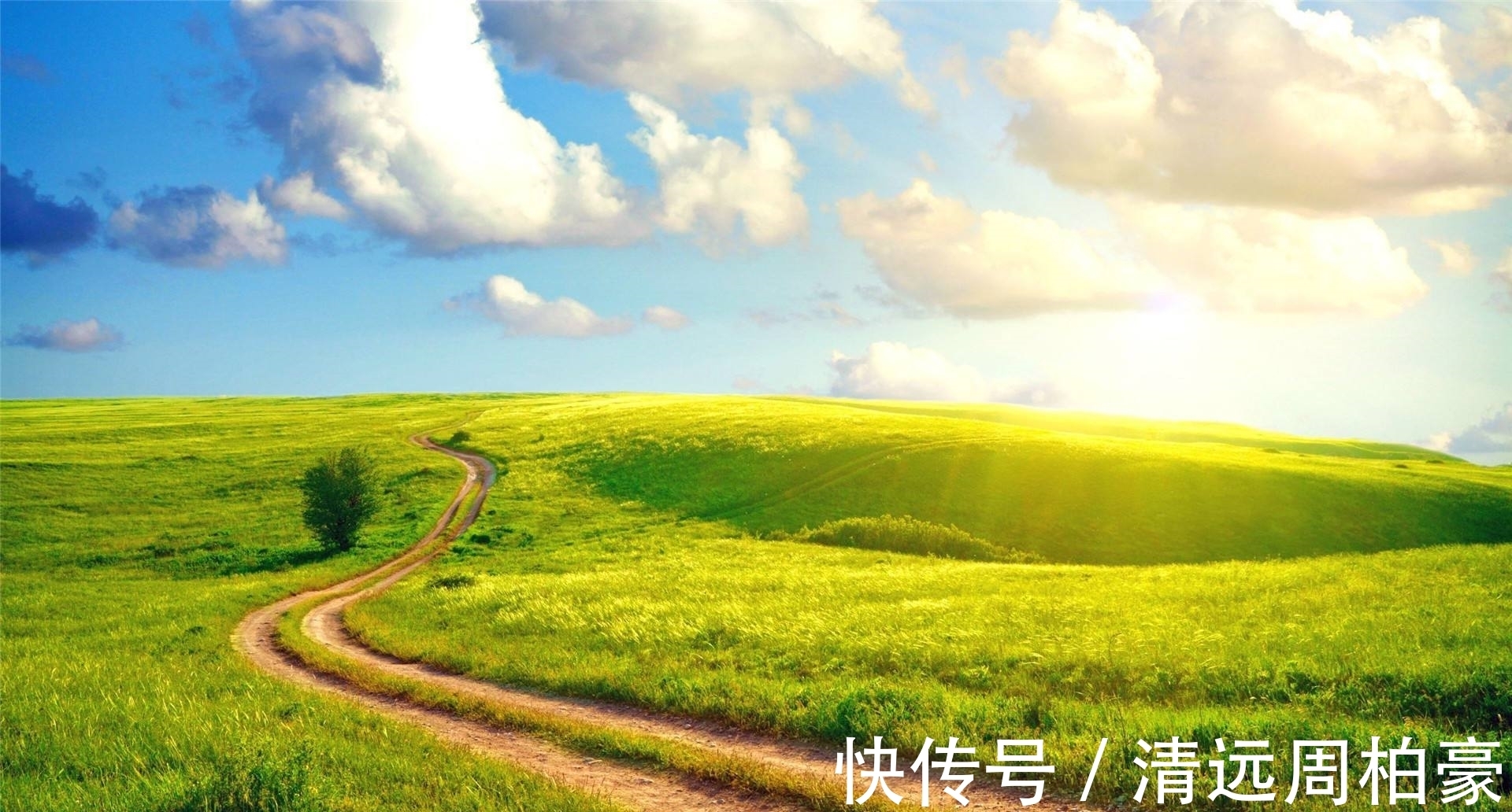 贺知章&史上五绝、七绝均臻化境的诗人只有他,这几首精妙五绝被严重低估