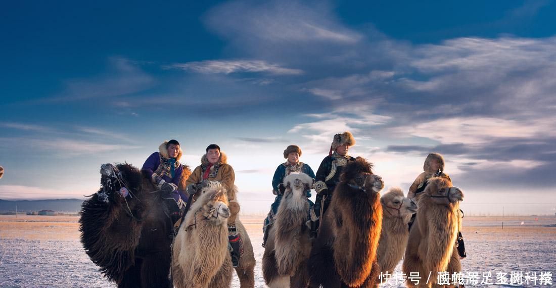 蒙古|中国古代没有少数民族,匈奴、鲜卑、契丹、蒙古……都是多数民族