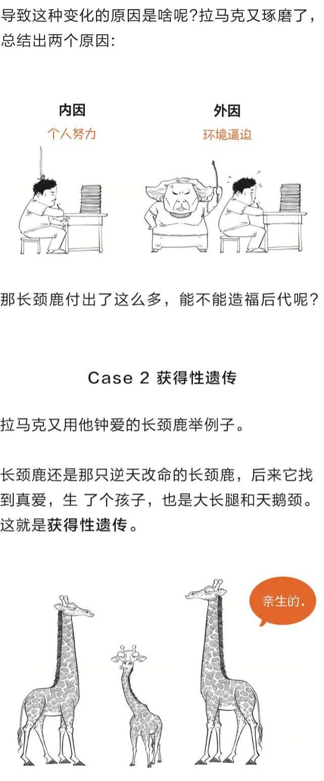 学了这么多年的进化论，竟然都理解错了？