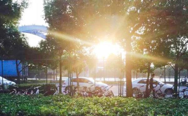 紫外线|长期涂抹防晒霜会引发缺钙吗?为你解答令人纠结的防晒问题