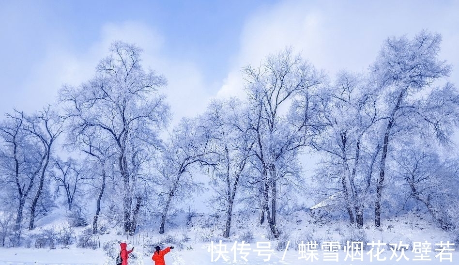 寒鸦#女词人一首七律雪景诗,青山盖雪,寒鸦雀藏,梅花凌寒吐芬芳