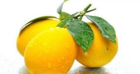 立冬后易生病,瓜果食物经常换,补气养颜,提高免疫,早吃早好