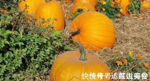 高血脂|世卫组织:3种蔬菜,已被拉入“升脂”名单,在生活中尽量少吃