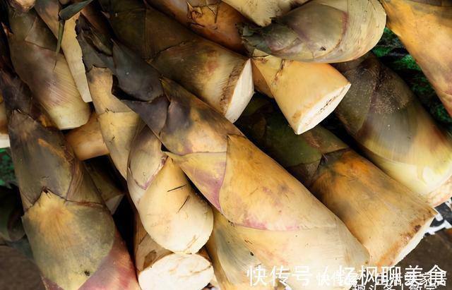 买竹笋，挑长的好还是粗的好？菜农：买错了难吃，浪费钱！