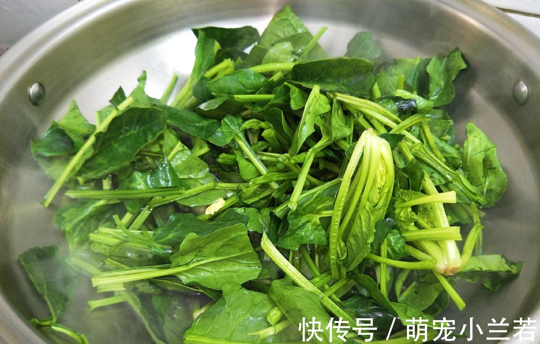 炒菠菜时，需要先焯水吗？教你好吃的做法，菠菜翠绿又入味