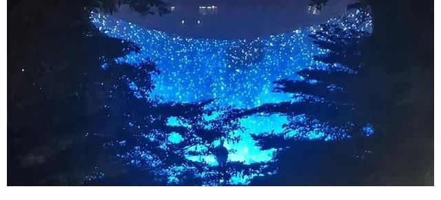 肖战事件始末227是怎么回事?本质是一场以毁人为目的的恶性竞争