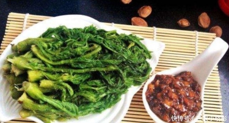 刺老芽|乡下一种新出刺芽，价值珍贵，人称刺人参，营养价值丰富