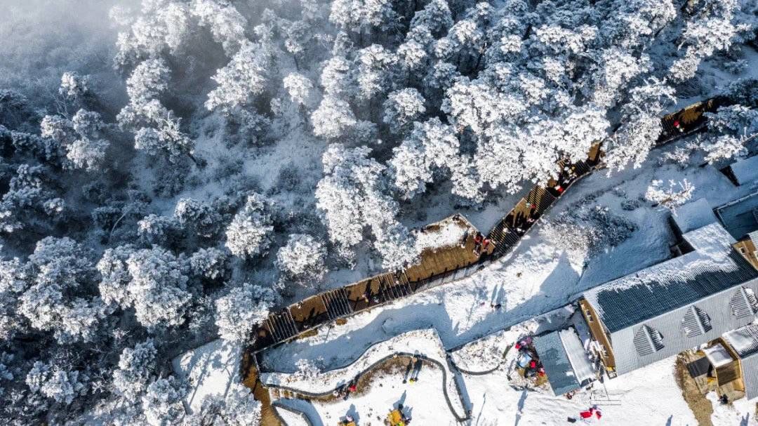 天府花溪谷|西岭雪山1月1日接待量已达上限 建议未购票游客先前往周边景点丨冬游四川上封面