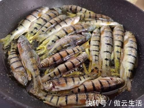 冬天多吃鱼,鲜美可口,营养丰富,这样煎一煎,外酥里嫩更好吃