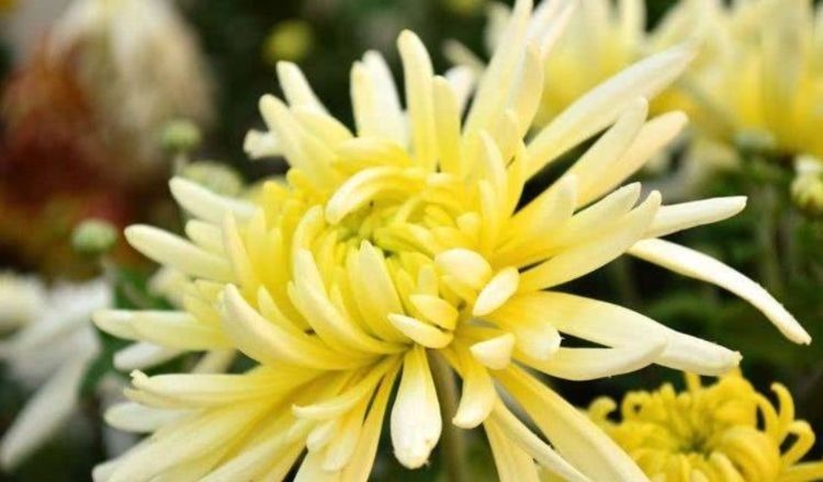 滋润|好食物吃出好身体,3种食物换着来,补充营养,滋润肌肤!