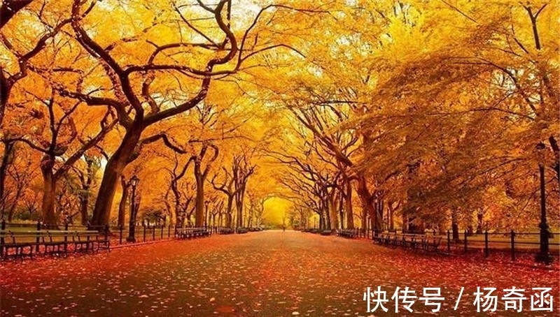 范仲淹@寒露,在诗词中感受凉凉的秋意,赏析范仲淹的千古名篇《苏幕遮》