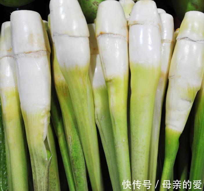 饮膳正要|哺乳期最适合的8种素食,吃一口每天涨奶800ml,值得学习