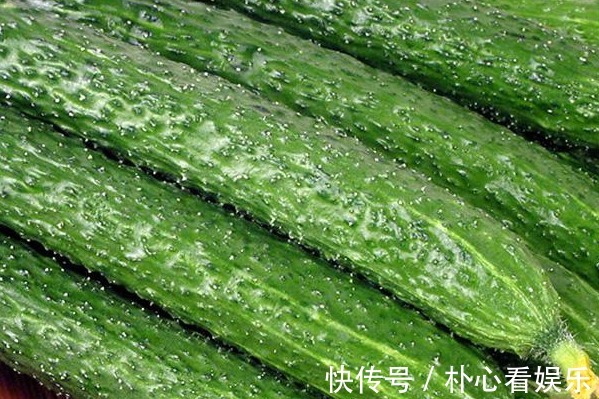 黄瓜|天天和芹菜打交道,才发现芹菜的一种吃法还有毒,赶快告知家人