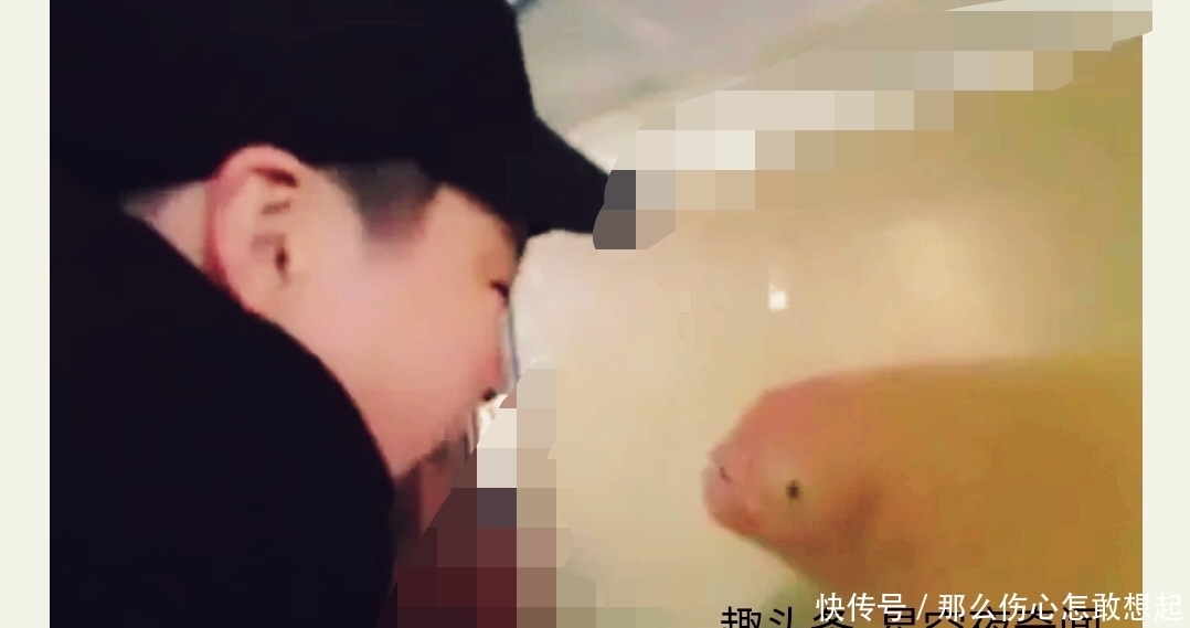 作势|小男孩面对鱼缸扮鬼脸,作势要吓鱼,随后发生的事,无法淡定