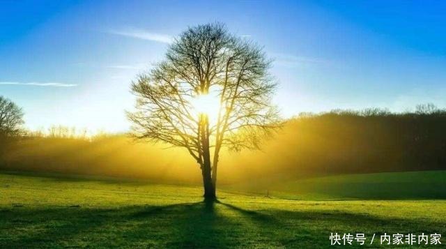 千古|一首脍炙人口的千古诗词,载不动许多愁,道尽人生哲理