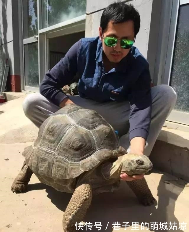 王昱珩|被《人民日报》表扬,1000万姑娘都想嫁,他将家变成热带雨林