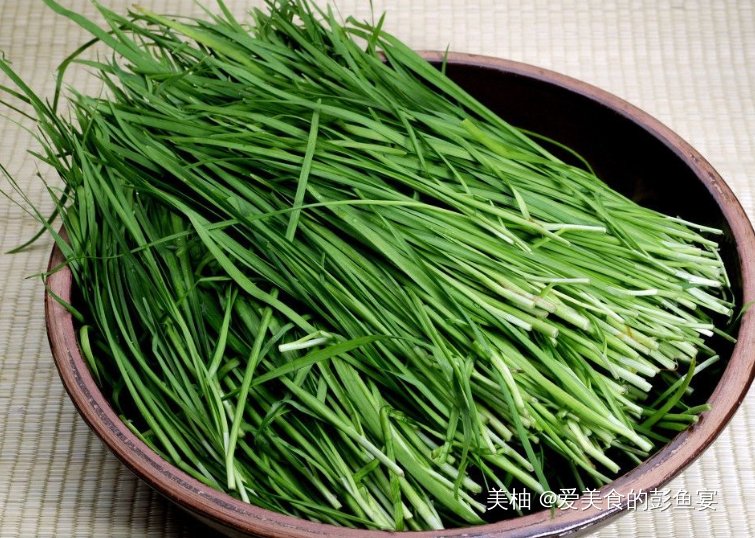 韭菜别包饺子炒鸡蛋，和它一起炒，高蛋白好消化，孩子长个正需要