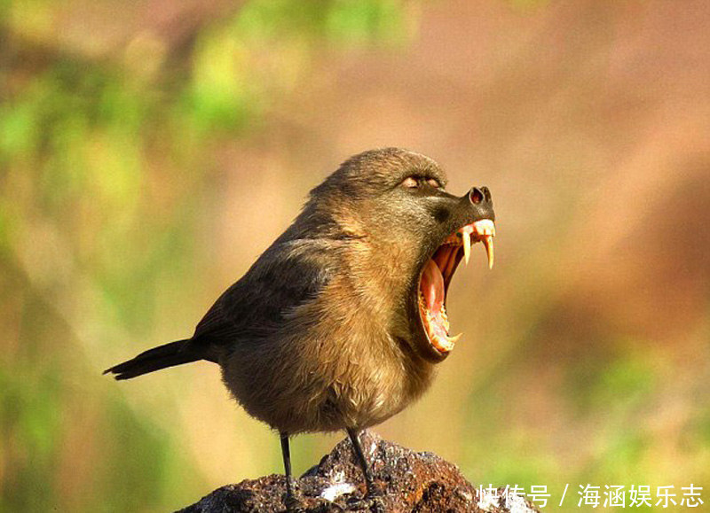 励志文|真正人品好的人,不会在朋友圈发这5条信息,发得越多越讨人嫌!